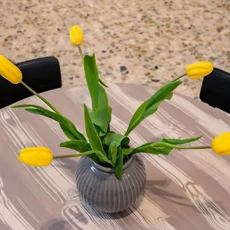 Apartamento Auriga Luxury Flat *