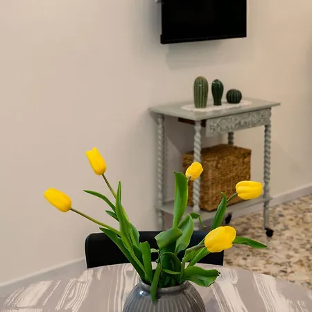 Auriga Luxury Flat 아파트 모두가노